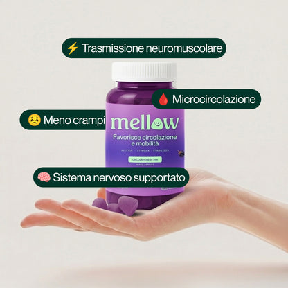 Mellow® Neuropatia – Supergelée ai Frutti di Bosco