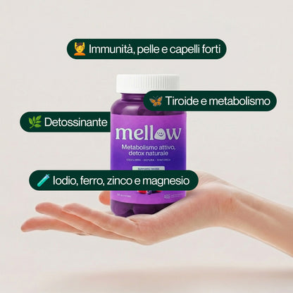 Mellow® Energia Profonda – Supergelée ai Frutti di Bosco