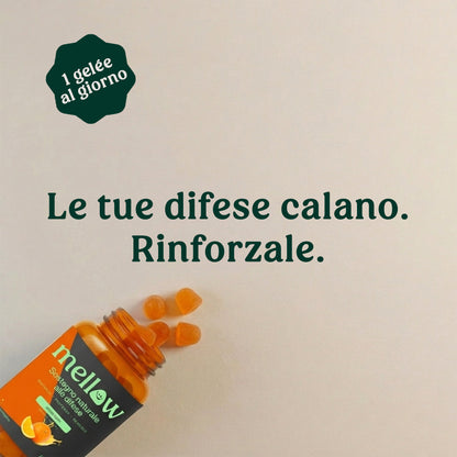 Mellow® Immunità Attiva Scudo Naturale – Supergelée all Arancio