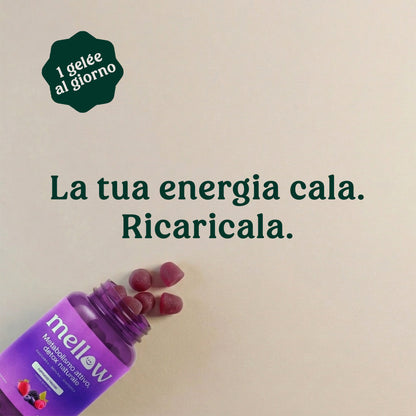 Mellow® Energia Profonda – Supergelée ai Frutti di Bosco