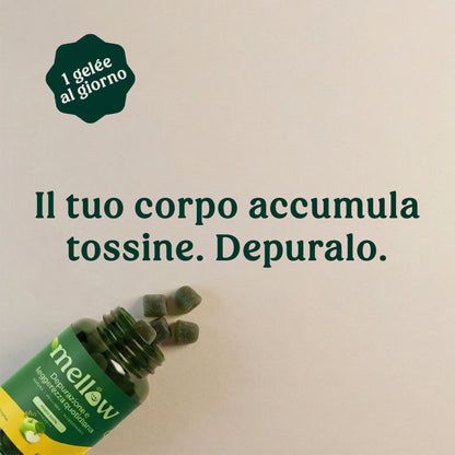 Mellow® Detox Fegato – Supergelée alla Mela Verde
