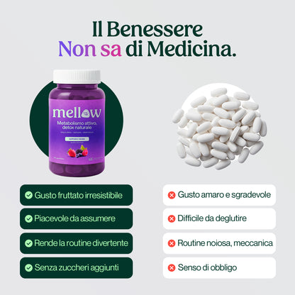 Mellow® Energia Profonda – Supergelée ai Frutti di Bosco